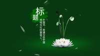 第13张幻灯片