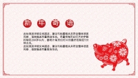 第12张幻灯片