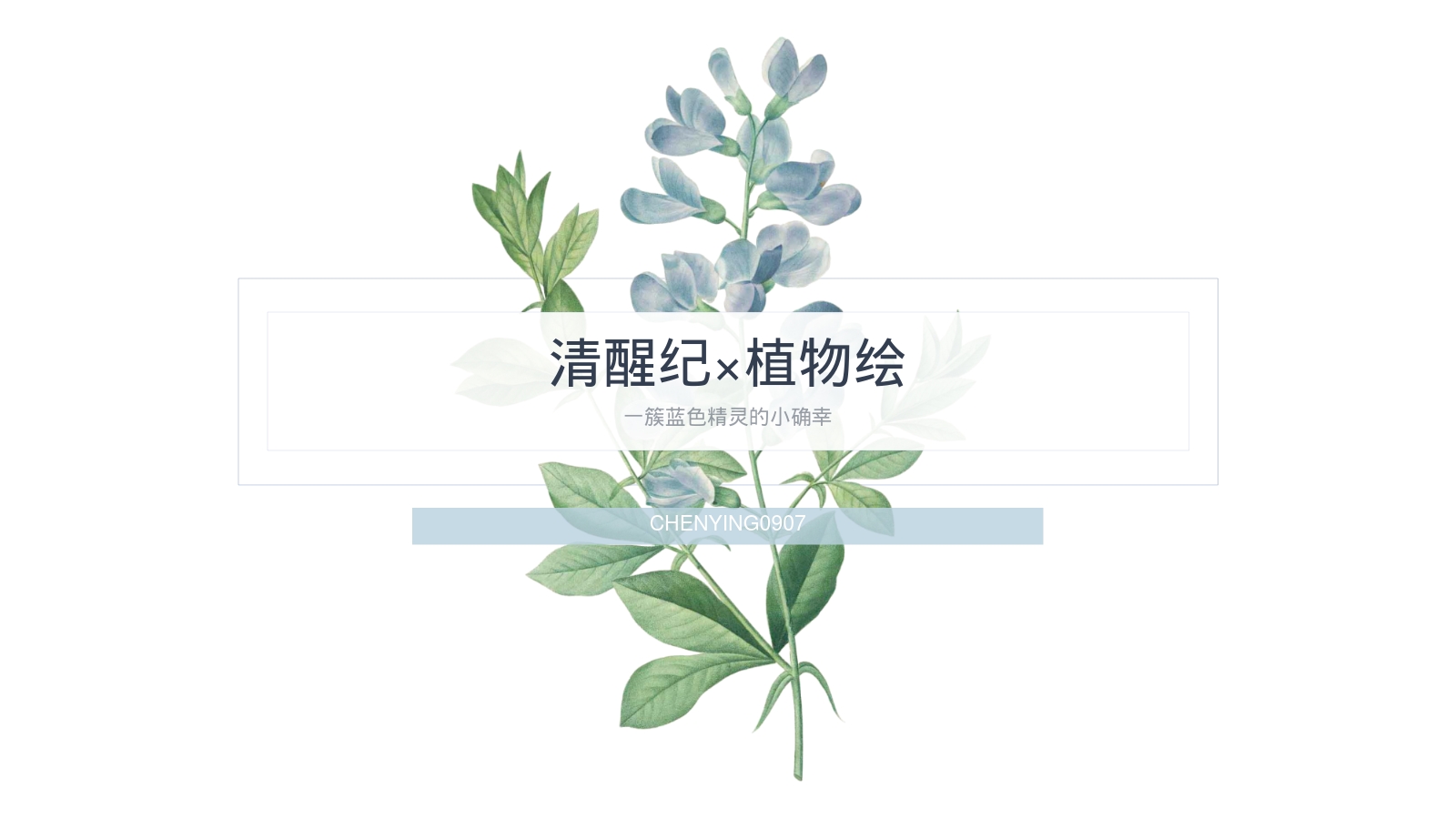 清醒纪×植物绘