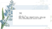 第11张幻灯片