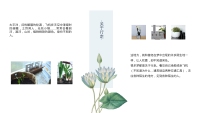 第12张幻灯片