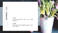 第14张幻灯片