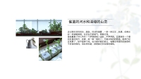 第15张幻灯片