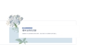 第17张幻灯片