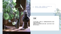 第18张幻灯片