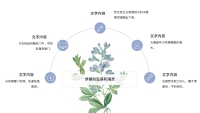 第19张幻灯片