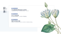 第2张幻灯片