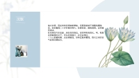 第20张幻灯片
