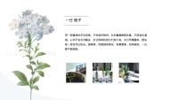 第4张幻灯片