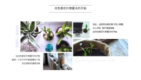 第5张幻灯片