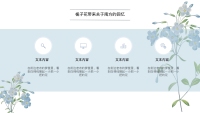 第6张幻灯片