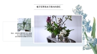 第8张幻灯片