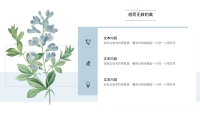第9张幻灯片