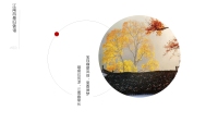 第16张幻灯片