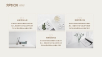 第12张幻灯片