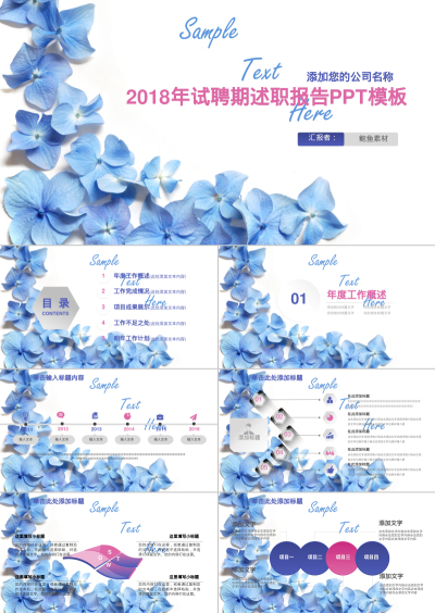 2018年试聘期述职报告PPT模板