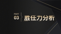 第13张幻灯片