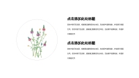 第13张幻灯片