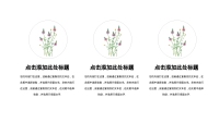 第17张幻灯片
