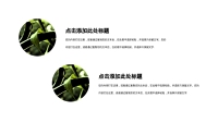 第9张幻灯片