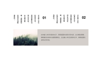 第4张幻灯片