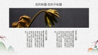 第12张幻灯片