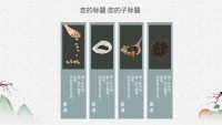 第13张幻灯片