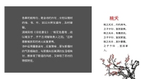 第4张幻灯片