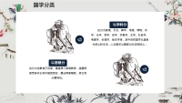 第11张幻灯片