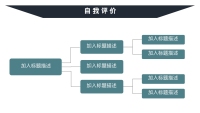 第12张幻灯片