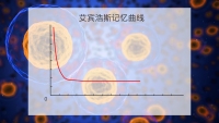 第20张幻灯片