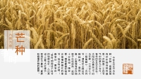 第10张幻灯片