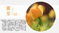 第11张幻灯片