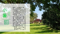 第12张幻灯片