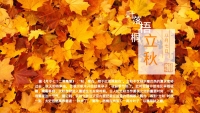 第14张幻灯片