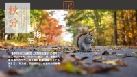 第17张幻灯片
