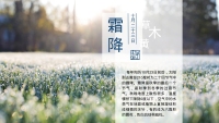第19张幻灯片