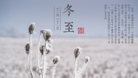 第23张幻灯片