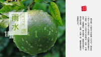 第3张幻灯片