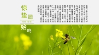 第4张幻灯片