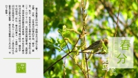 第5张幻灯片