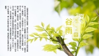 第7张幻灯片