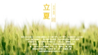 第8张幻灯片