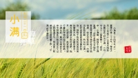 第9张幻灯片