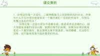 第20张幻灯片