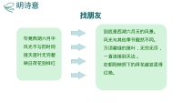 第13张幻灯片