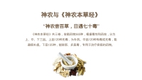 第11张幻灯片