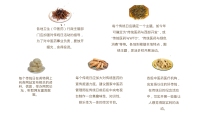 第6张幻灯片