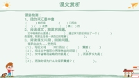 第20张幻灯片