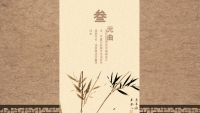 第13张幻灯片